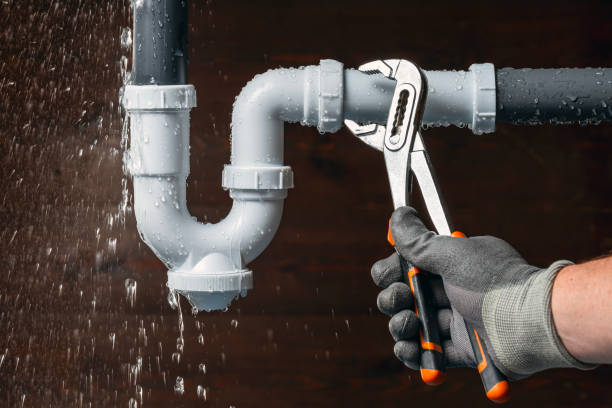 Professional Leak Detection technician working in Ohlman, IL